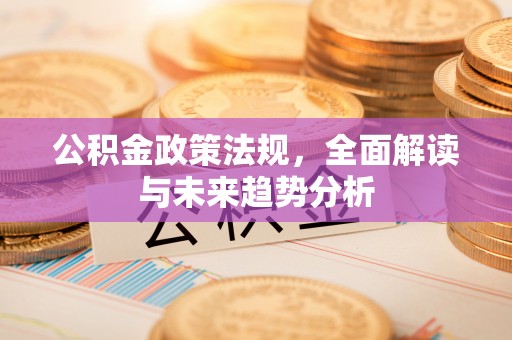 普湾新区公积金政策法规，全面解读与未来趋势分析