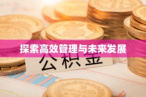 普湾新区探索高效管理与未来发展
