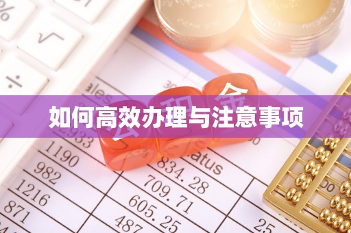 普湾新区如何高效办理与注意事项