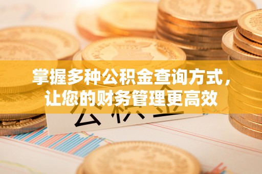 普湾新区掌握多种公积金查询方式，让您的财务管理更高效