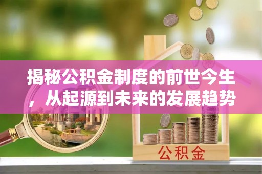 普湾新区揭秘公积金制度的前世今生，从起源到未来的发展趋势