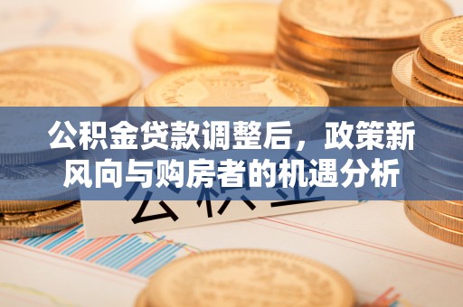 普湾新区公积金贷款调整后，政策新风向与购房者的机遇分析