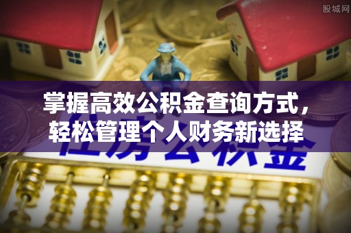 普湾新区掌握高效公积金查询方式，轻松管理个人财务新选择