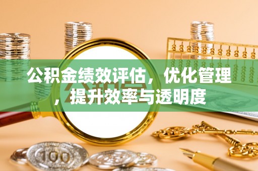 普湾新区公积金绩效评估，优化管理，提升效率与透明度