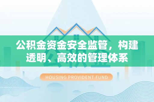 普湾新区公积金资金安全监管，构建透明、高效的管理体系
