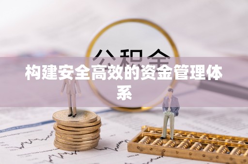普湾新区构建安全高效的资金管理体系