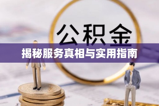 普湾新区揭秘服务真相与实用指南