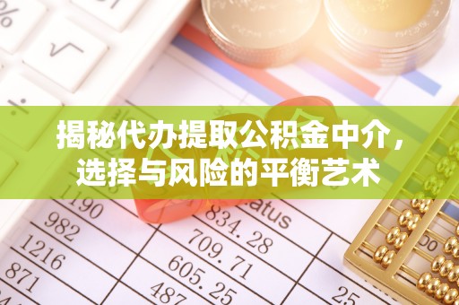 普湾新区揭秘代办提取公积金中介，选择与风险的平衡艺术