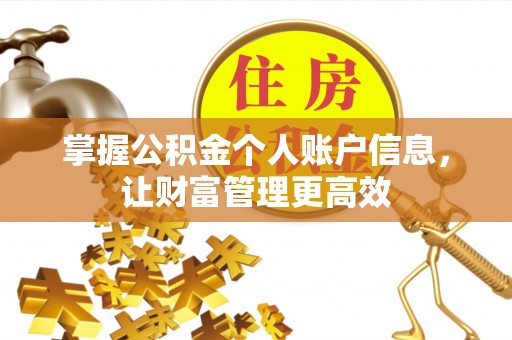 普湾新区掌握公积金个人账户信息，让财富管理更高效