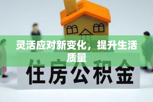 普湾新区灵活应对新变化，提升生活质量