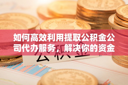 普湾新区如何高效利用提取公积金公司代办服务，解决你的资金难题