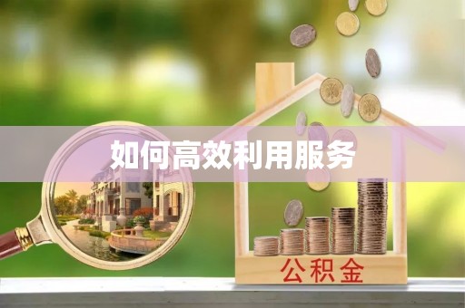 普湾新区如何高效利用服务
