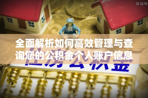 普湾新区全面解析如何高效管理与查询您的公积金个人账户信息