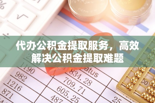 普湾新区代办公积金提取服务，高效解决公积金提取难题