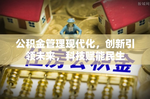 普湾新区公积金管理现代化，创新引领未来，科技赋能民生