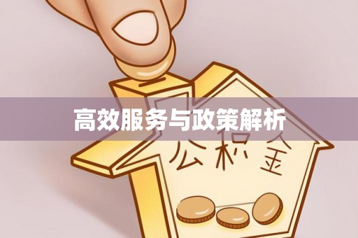 普湾新区高效服务与政策解析