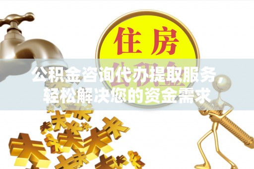 普湾新区公积金咨询代办提取服务，轻松解决您的资金需求