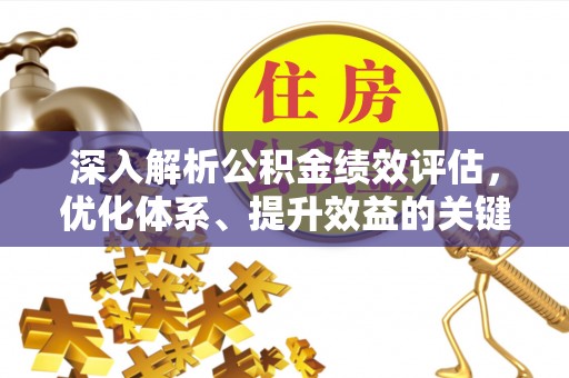 普湾新区深入解析公积金绩效评估，优化体系、提升效益的关键路径