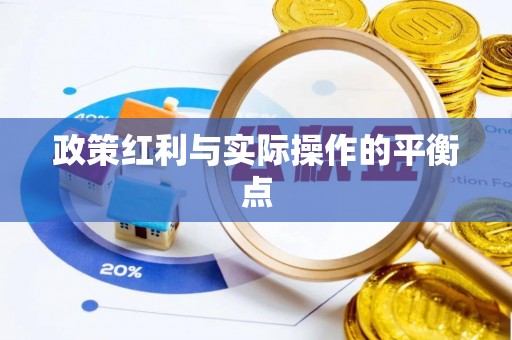 普湾新区政策红利与实际操作的平衡点